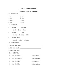 小学Lesson 13 How Do You Feel?优秀复习练习题