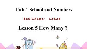 小学英语冀教版 (三年级起点)三年级上册Lesson 5 How Many ?优质ppt课件