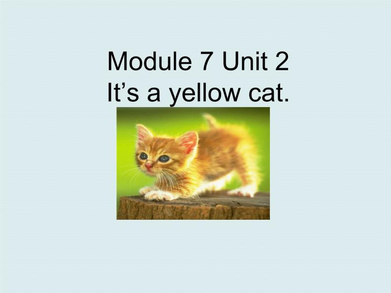 一年级上册英语课件- Module 7 Unit 2 It’s  a  yellow  dog？ 外研社（一起）01