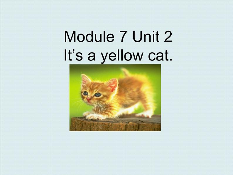 一年级上册英语课件- Module 7 Unit 2 It’s a yellow dog? 外研社(一起)01