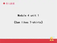 二年级上册英语课件- Module 4 Unit 1 Sam  likes  T-shirts. 外研社（一起）