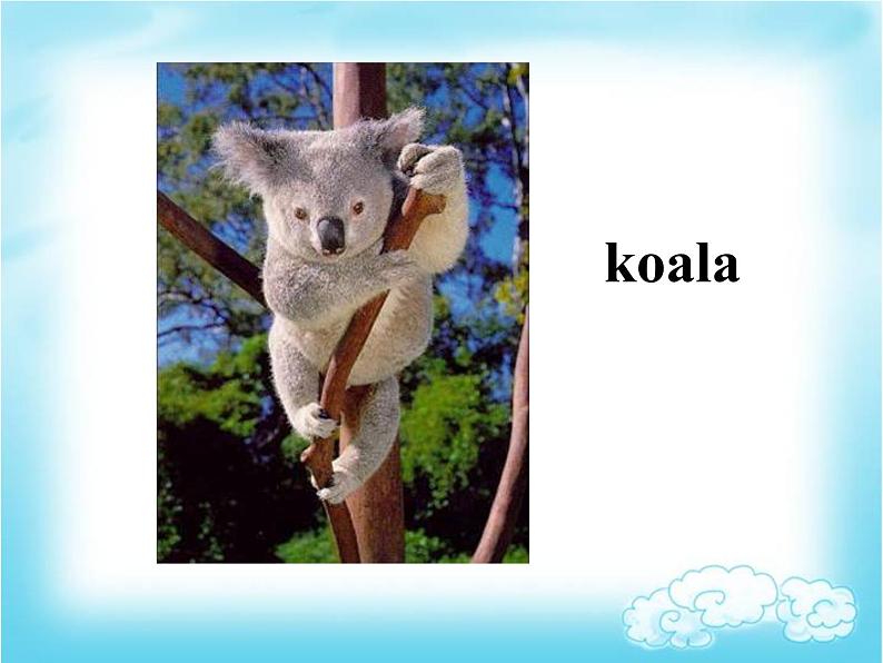 四年级下册英语课件- Module9 Unit 1 Why do you like Australia?外研社(一起)02