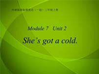 小学英语外研版 (一年级起点)三年级上册Unit 2 She’s got a cold.教课内容课件ppt
