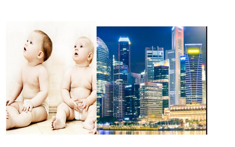 Unit 3 What would you like? Part C 单数名词变复数 课件第4页