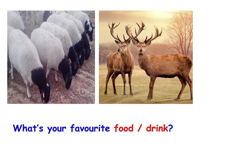Unit 3 What would you like? Part C 单数名词变复数 课件第8页