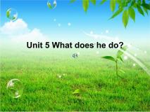 人教版 (PEP)六年级上册Unit 5 What does he do?教课内容课件ppt