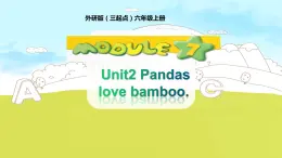 外研版（三年级起）小学英语六年级上Module 7  Unit 2《Pandas love bamboo》PPT课件