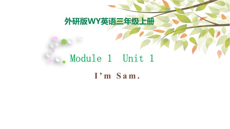 Module1 Unit 1 I'm Sam. 课件（28PPT）01