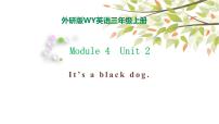 小学英语外研版 (三年级起点)三年级上册Unit 2 It's a black dog.教学演示ppt课件