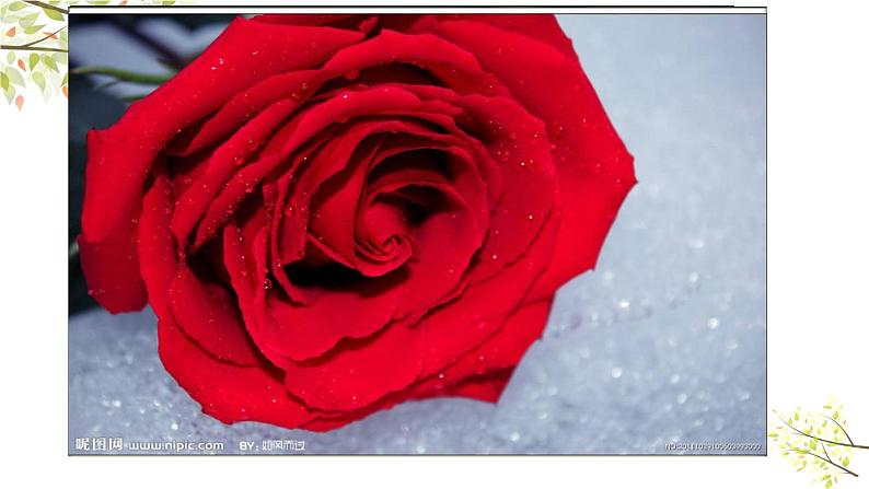 Module 4 Unit 1 It's red! 课件(27PPT)05