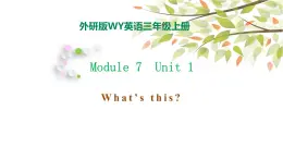 Module 7 Unit 1 What's this 课件（29PPT）