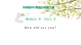 Module 6 Unit 2 How old are you 课件（28PPT）