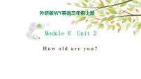 小学英语外研版 (三年级起点)三年级上册Module 6Unit 2 How old are you?课文配套课件ppt