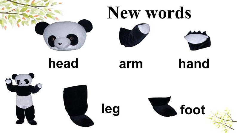 Module 10 Unit 1 This is his head. 课件(23PPT)03