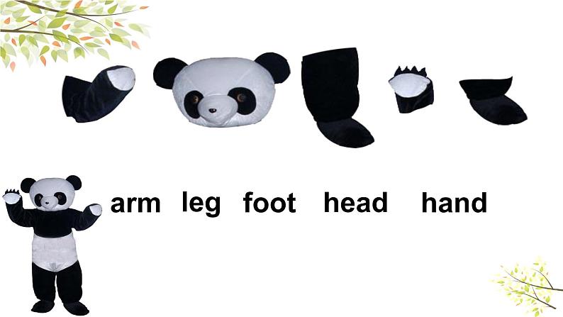 Module 10 Unit 1 This is his head. 课件(23PPT)04