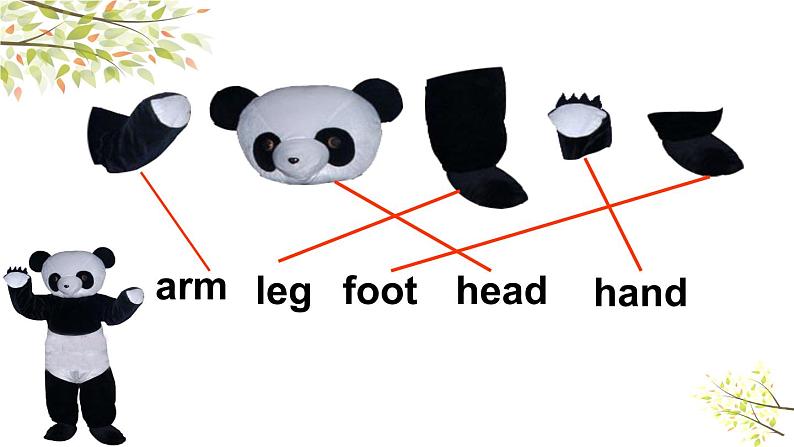Module 10 Unit 1 This is his head. 课件(23PPT)05