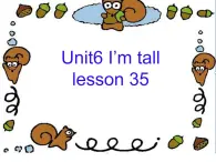 Unit 6 I'm tall Lesson 35 课件2