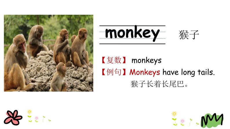 Unit 2 Lesson 7   At the Zoo 课件+素材08