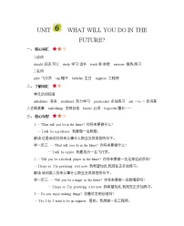 小学英语北京版五年级下册Unit 6 What will you do in the future?综合与测试优秀学案设计