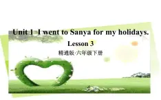 六年级下册英语课件-Unit 1  I went to Sanya for my holidays. Lesson 3 人教精通版