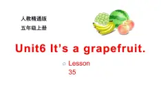 五年级上册英语课件-Unit6 It’s a grapefruit. Lesson 35  人教精通版