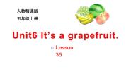 人教精通版五年级上册unit 6 It's a grapefruit.Lesson 35课文内容ppt课件