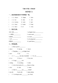 新版-牛津译林版五年级上册Unit 6 My e-friend精品同步练习题