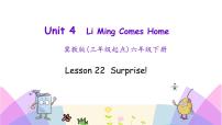 小学英语冀教版 (三年级起点)六年级下册Unit 4 Li Ming Comes HomeLesson 22 Surprise!优秀ppt课件