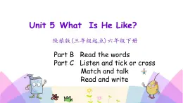 Unit 5 What is he like 第四課時(shí) 課件+素材