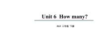 小学英语人教版 (PEP)三年级下册Unit 6 How many? Part A完美版ppt课件