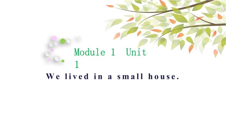 英语外研版5年级下册Module 1 Unit 1 We lived in a small house 课件201