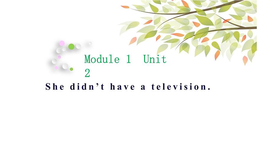 Module 1 Unit 2 She didn 't have a television 第1頁