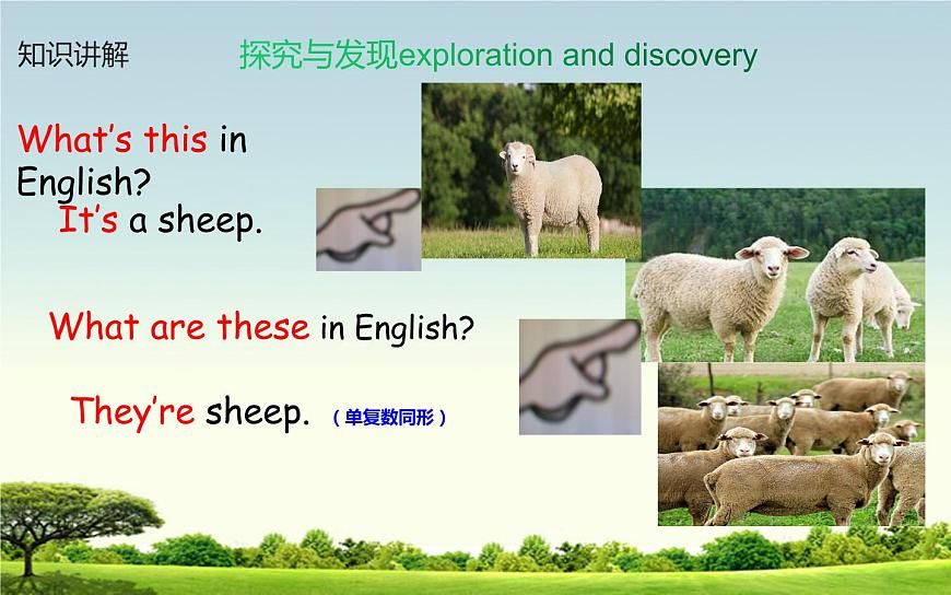 四年級下冊英語課件-Unit 6 Would  you  like  to take a  trip ？Lesson 35人教精通版第5頁