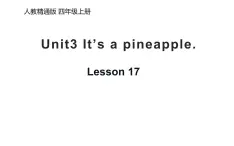 四年级上册英语课件-Unit3 It's a pineapple.  Lesson 17  人教精通版