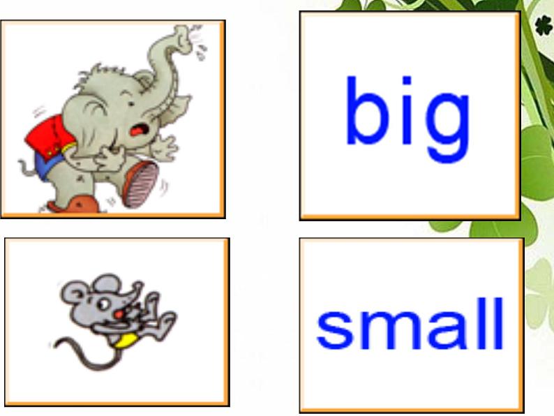 四年级上册英语课件-Unit6 I'm tall. Lesson 31 人教精通版02