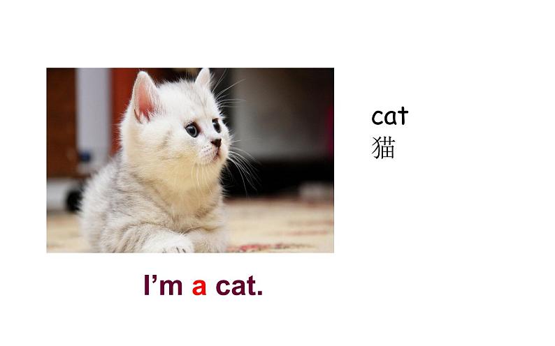 三年级上册英语课件-Unit 1 Hello! I’m Monkey. Lesson 1 人教精通版08