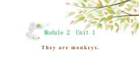 英语三年级下册Module 2Unit 1 They are monkeys.多媒体教学课件ppt