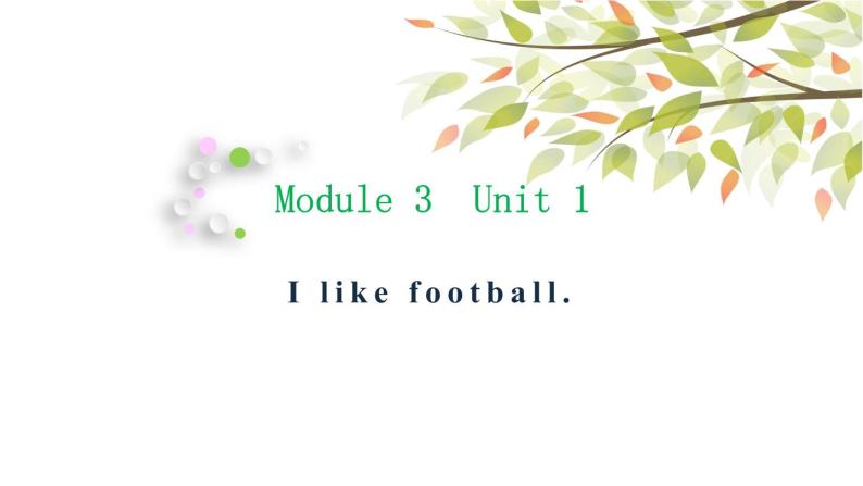 英语外研版3年级下册Module 3 Unit 1 I like football课件101