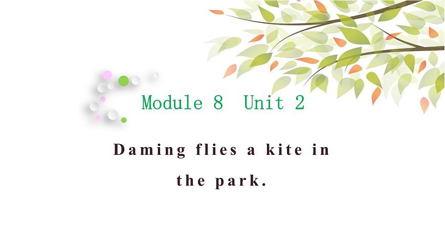 Module 8 Unit 2 Daming flies a kite in the park課件1第1頁
