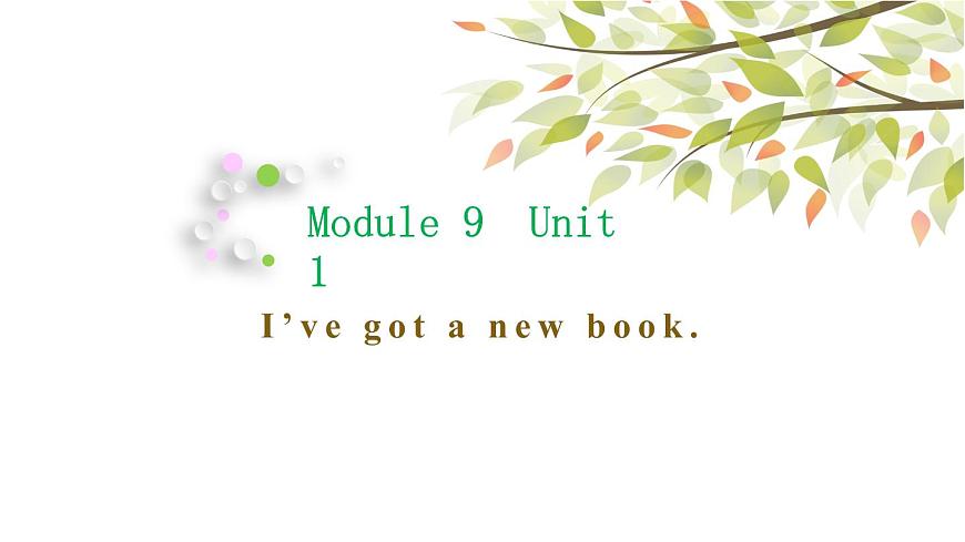 Module 9 Unit 1 I 've got a new book課件1第1頁(yè)