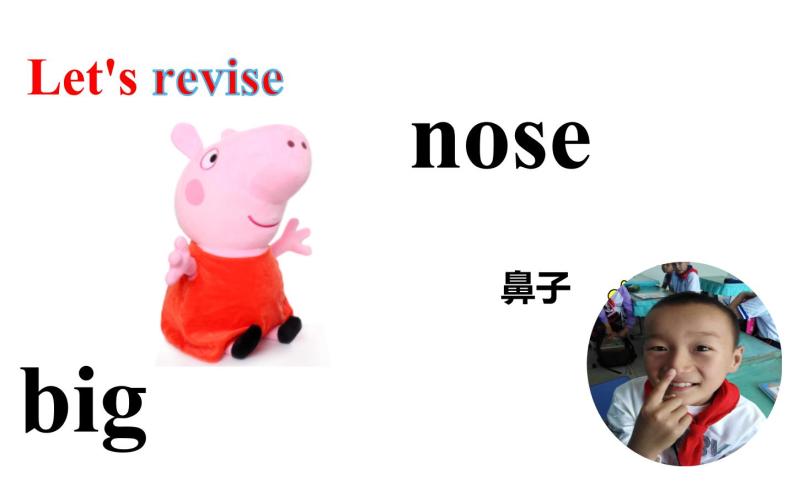 三年级上册英语课件-Unit3  Look at my nose. Lesson 14  人教精通版05