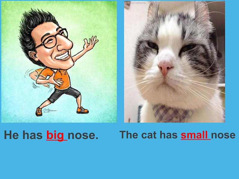 三年级上册英语课件-Unit3 Look at my nose. Lesson 13人教精通版07