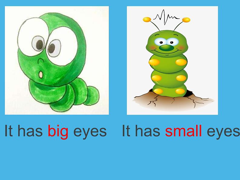 三年级上册英语课件-Unit3 Look at my nose. Lesson 13人教精通版08
