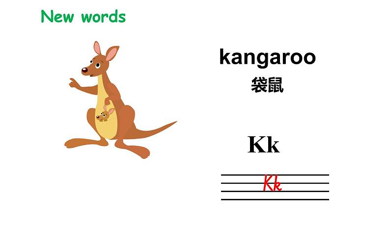 三年级下册英语课件-Unit5 It’s a parrot. Lesson 25 人教精通版04