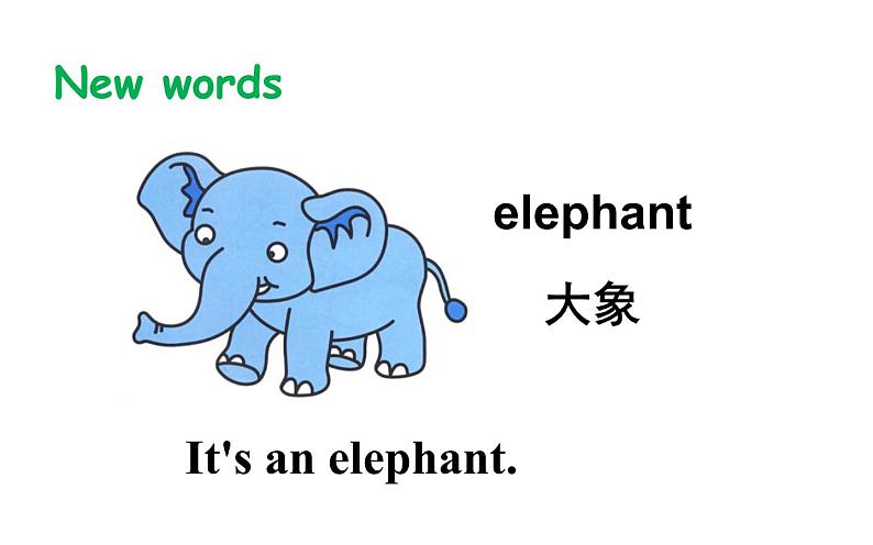 三年级下册英语课件-Unit5 It’s a parrot. Lesson 29 人教精通版06