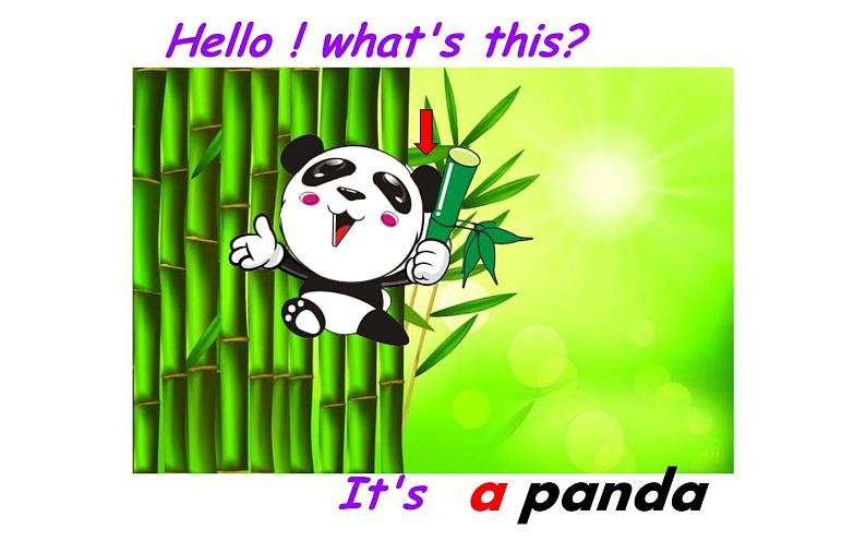 三年级下册英语课件-Unit5 It’s a parrot. 人教精通版06