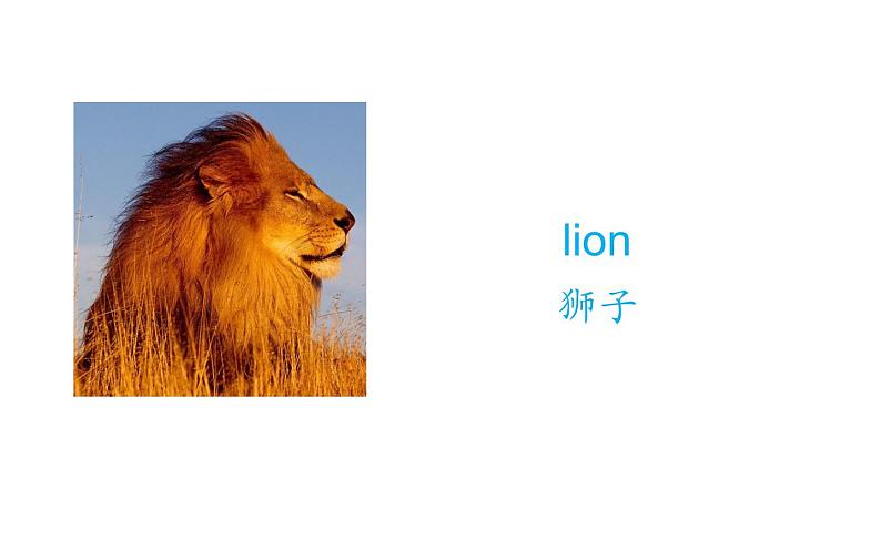 三年级下册英语课件-Unit5 It’s a parrot. Lesson 25人教精通版第7页