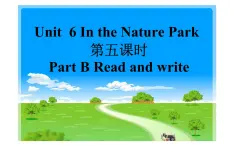 五年级英语上册课件-Unit6  In a nature  park Part B Read and write-人教PEP版.