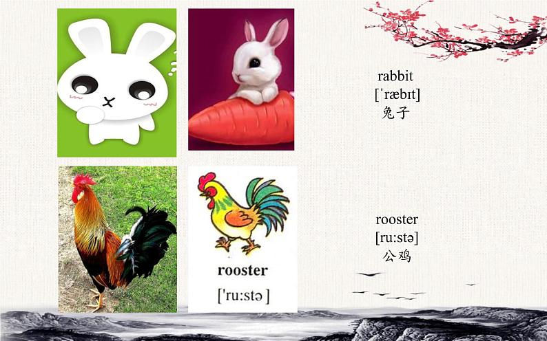 三年级下册英语人教精通版Unit 5 It 's a parrot.Lesson28课件第5页
