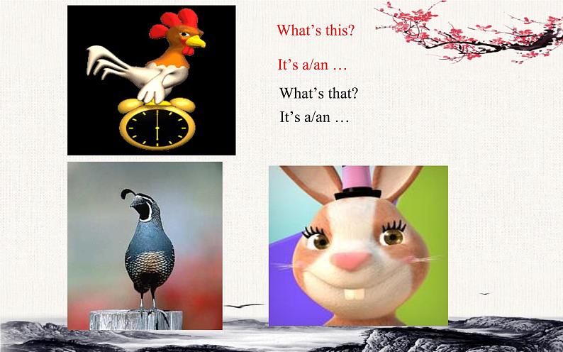 三年级下册英语人教精通版Unit 5 It 's a parrot.Lesson28课件第6页